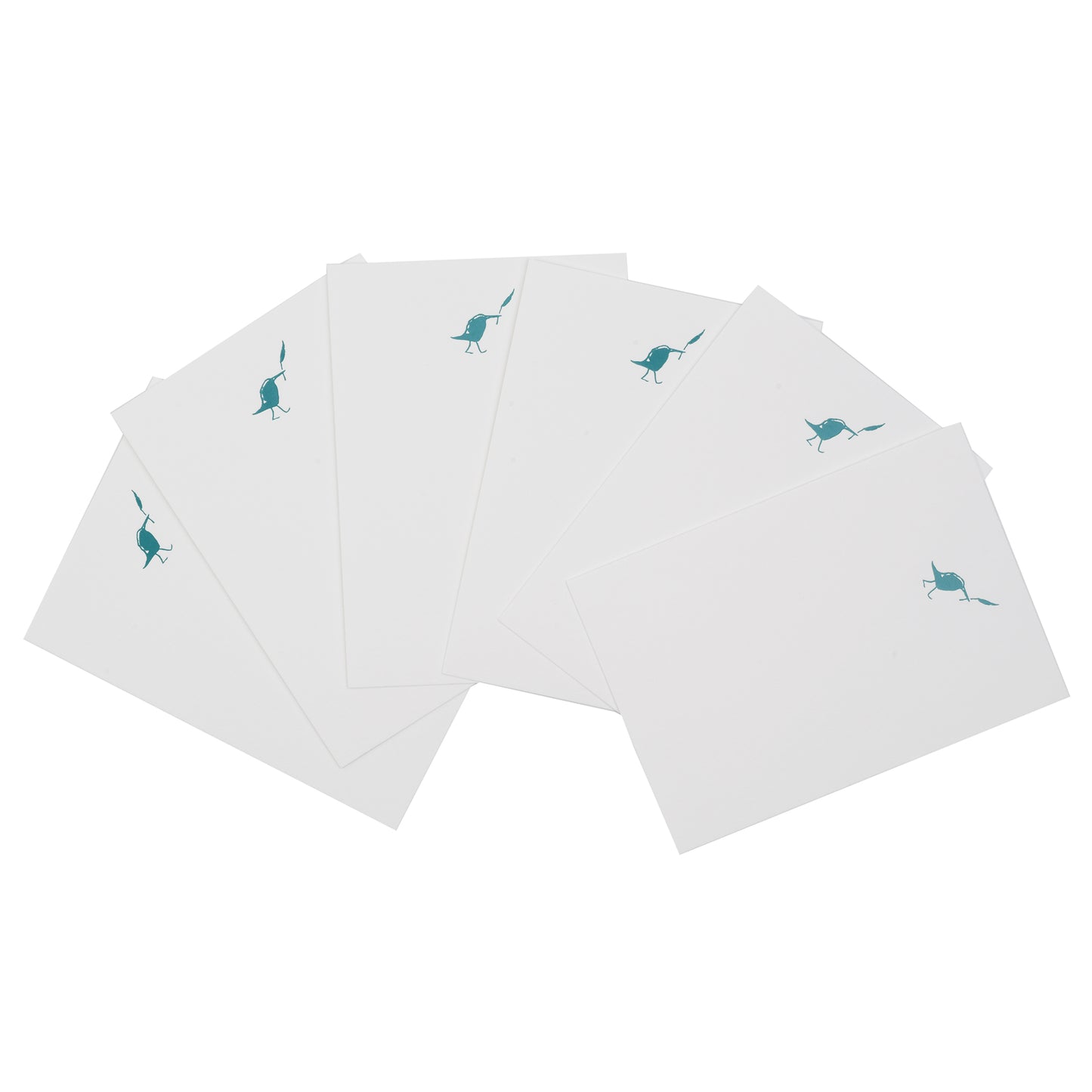 jotter birds