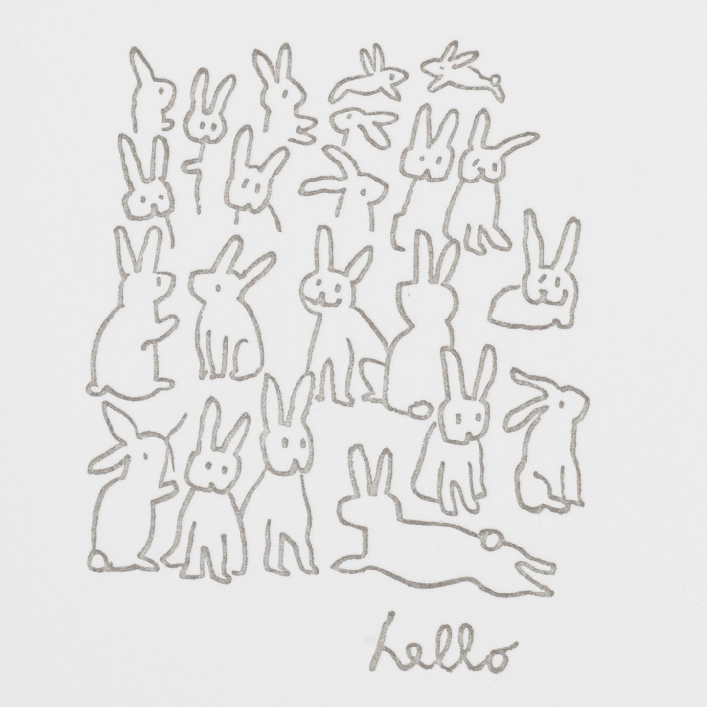 hello bunnies