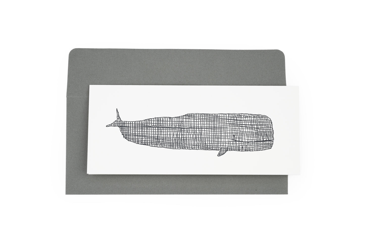 whale