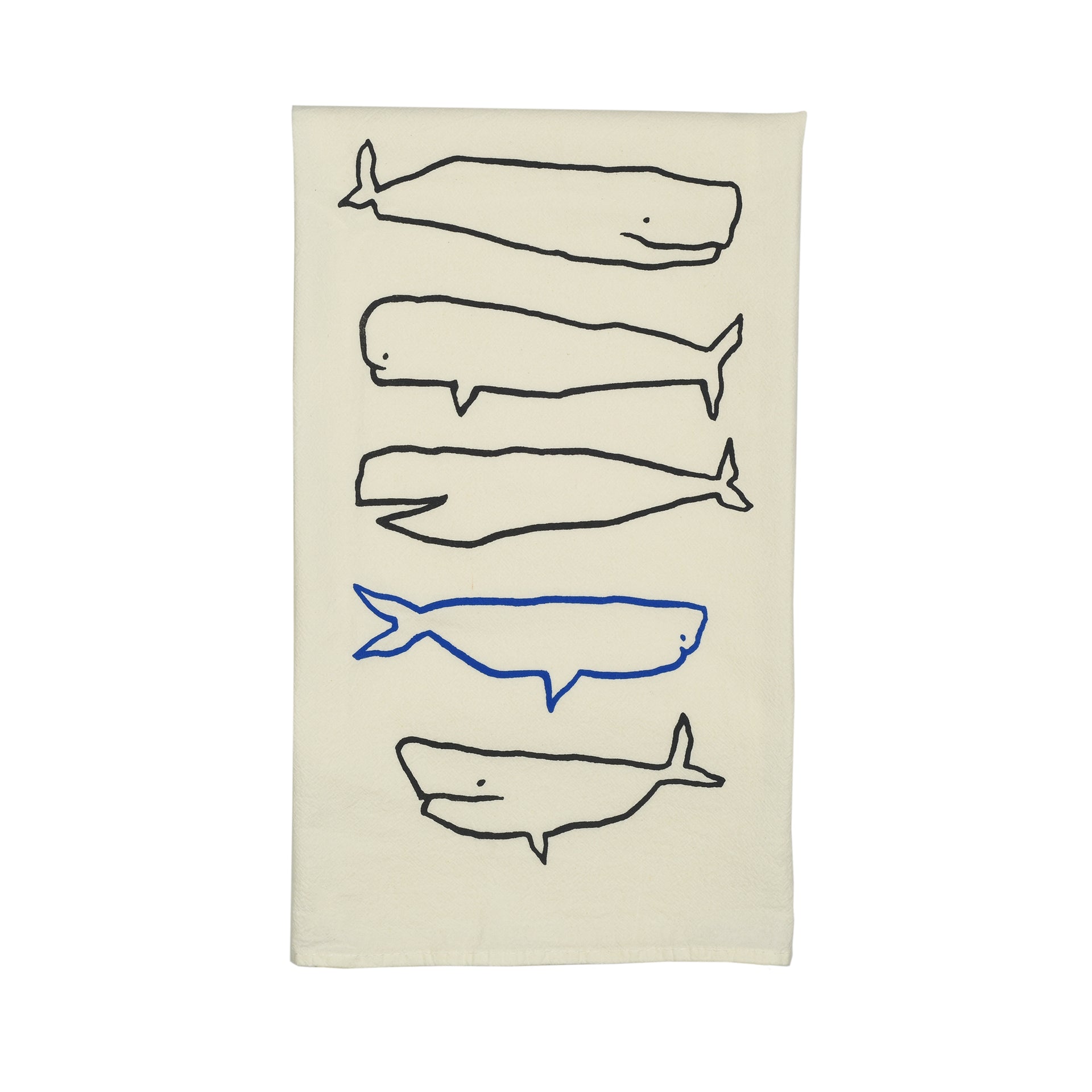 whale species