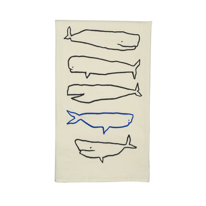 whale species
