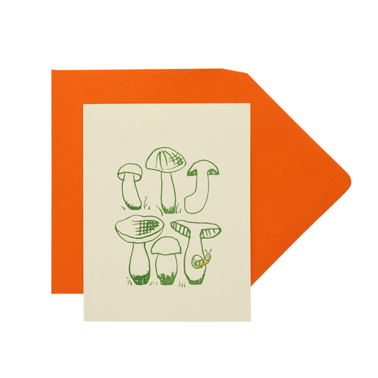 mushroom species
