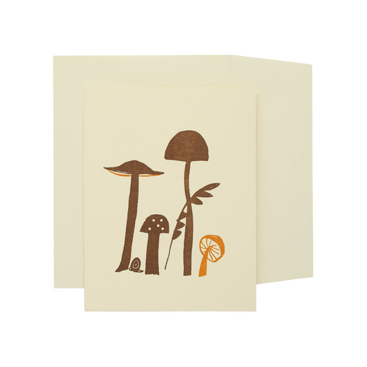 tall mushrooms